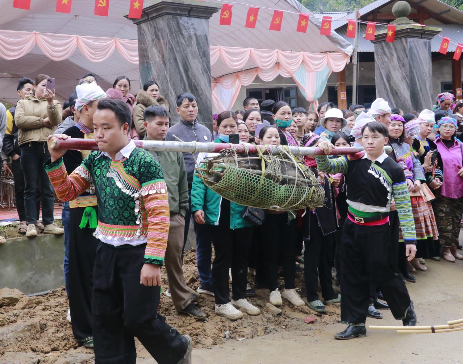 potal-loi-the-giu-rung-cua-nguoi-mong-giua-dai-ngan-na-hau-7877663.jpg