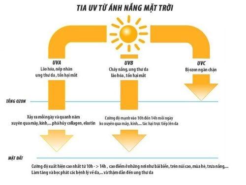 Tia UV được chia làm 3 loại là tia UVC, tia UVA và tia UVB.