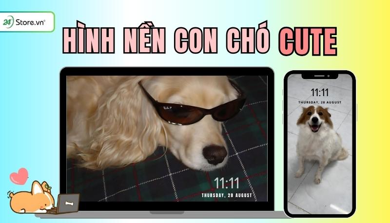 hình nền con chó mở đầu