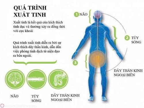 Kiềm chế xuất tinh có hại gì không?