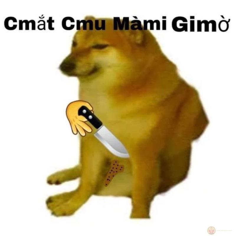 Cheems meme – chú chó Shiba“chúa hề” khiến bạn cười ngất