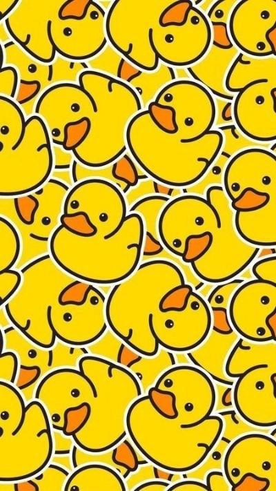 Hình nền vịt cute 4K cho điện thoại, máy tính | VM STYLE