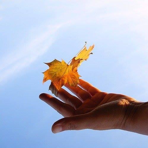 Hải ngọc's Weblog