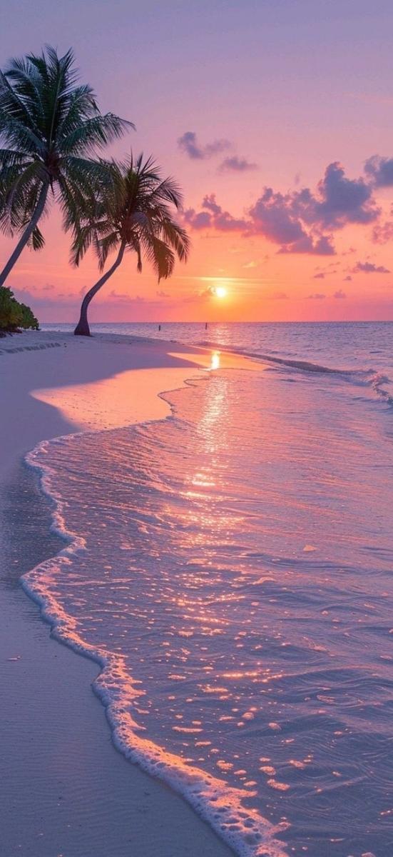 Top 50+ hình nền biển đẹp chill phù hợp cho mọi thiết bị