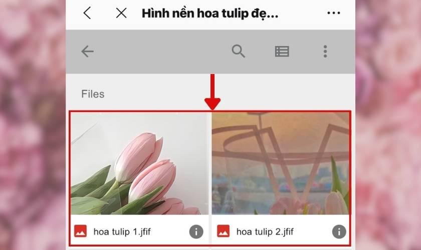 199+ Những hình nền hoa đẹp cho iPhone siêu lung linh