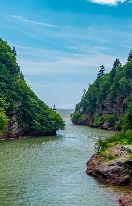 1000+ hình nền iPhone 11 đẹp, nhiều chủ đề, 4K