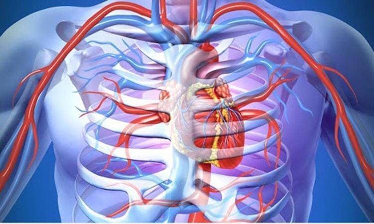 Nguyên nhân gây vết thương ngực hở thường là do các vật nhọn đâm vào ngực.