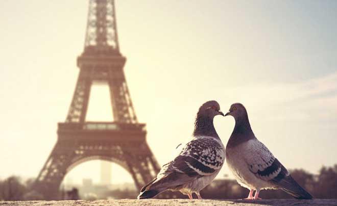 Lãng mạn là gì? Cách thể hiện lãng mạn trong tình yêu