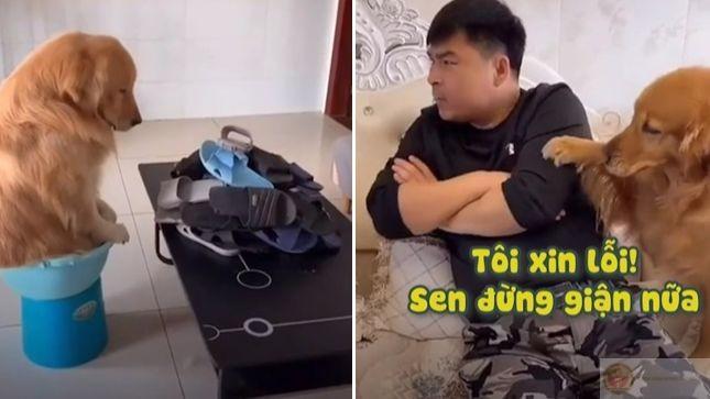 Tôi xin lỗi nha, nhưng đừng mong có thay đổi