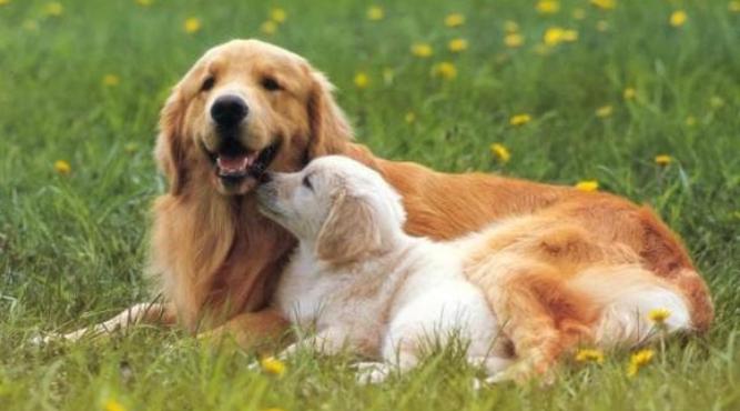 Sinh năm 2006 vào học cấp 2 năm nào