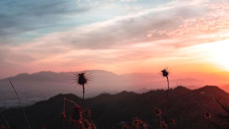 Top 1000+ Hình ảnh bình minh đẹp nhất