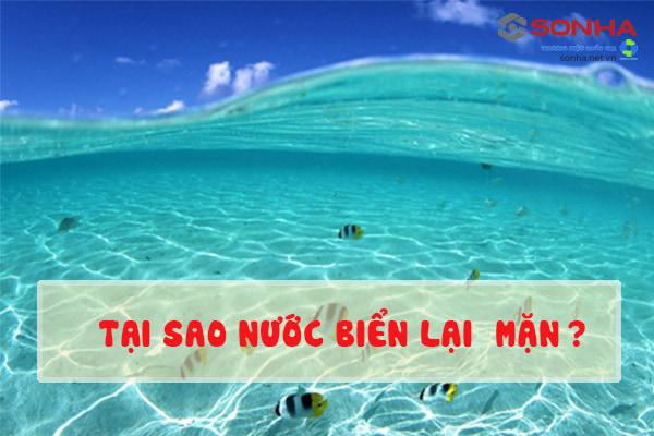 [Lý giải] Tại sao nước biển lại mặn? Muối được sinh ra từ đâu?