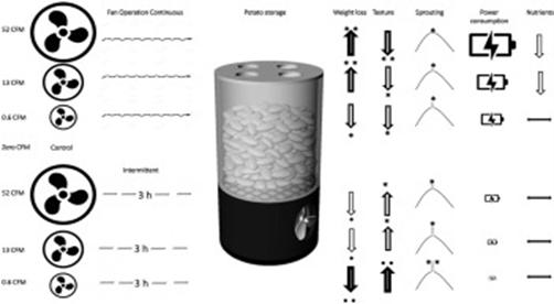 Optimizing Long-Term Potato Storage with Ethylene Measurement