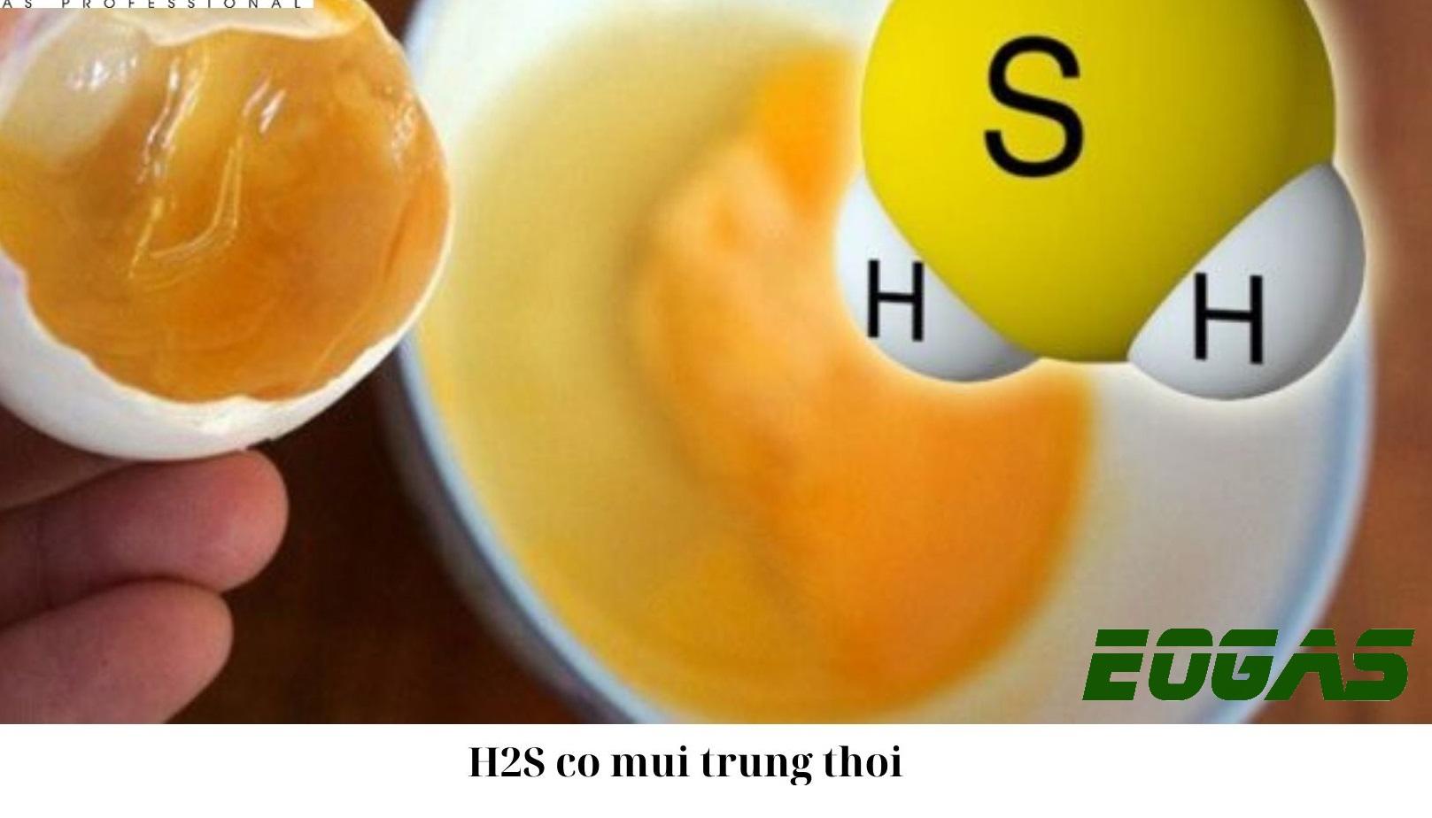 Tính chất Axit H2S đặc trưng được biểu hiện như thế nào? 