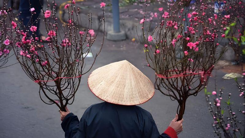 30+ Stt hết Tết vui 2026, hài hước và ý nghĩa đăng Facebook