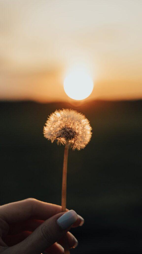 Hình nền điện thoại đẹp nhất hiện nay: chọn đúng chủ đề, đúng độ phân giải