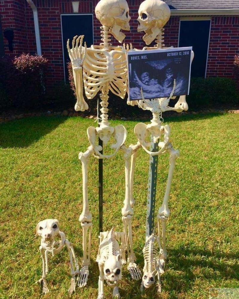 Bộ ảnh Skeleton meme hài hước và chờ đợi bá đạo nhất