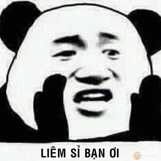 Tuyển tập meme gấu trúc bựa weibo cực hài nhiều biểu cảm