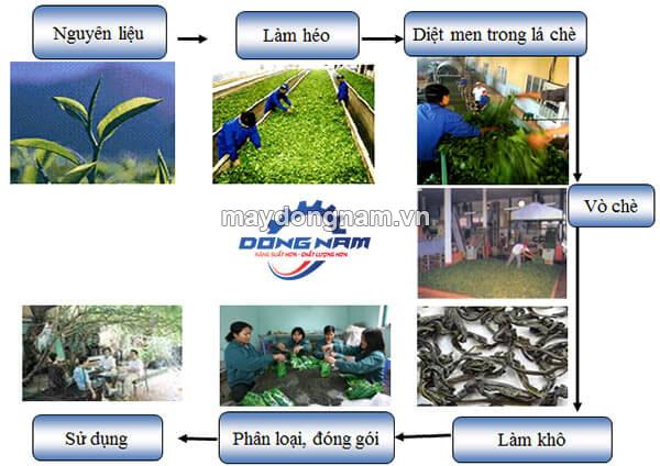 Quy trình chế biến chè xanh quy mô công nghiệp đạt chuẩn