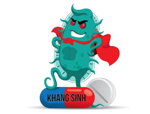 Cơ chế tác dụng của kháng sinh và phối hợp kháng sinh