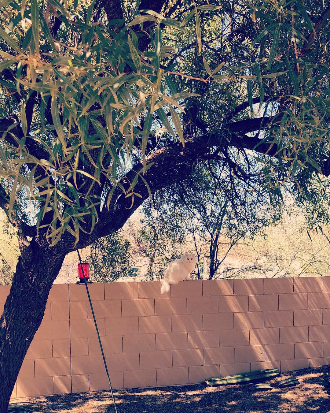 Mặt trái của mạng xã hội