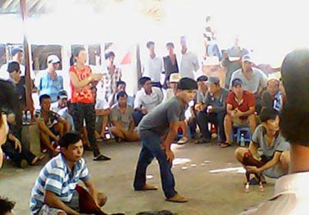 Trường gà: "Con voi chui lọt lỗ kim”?