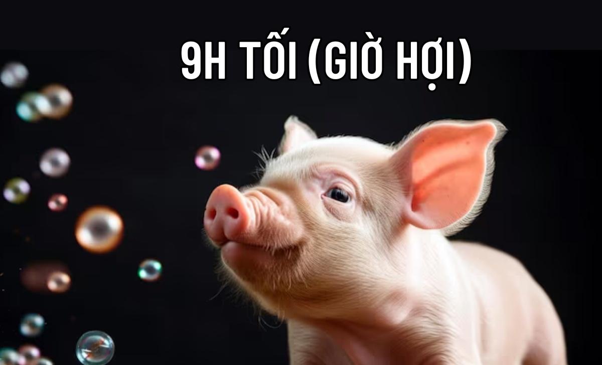 9h tối là giờ gì? Nên và không nên làm gì lúc 9 giờ tối?