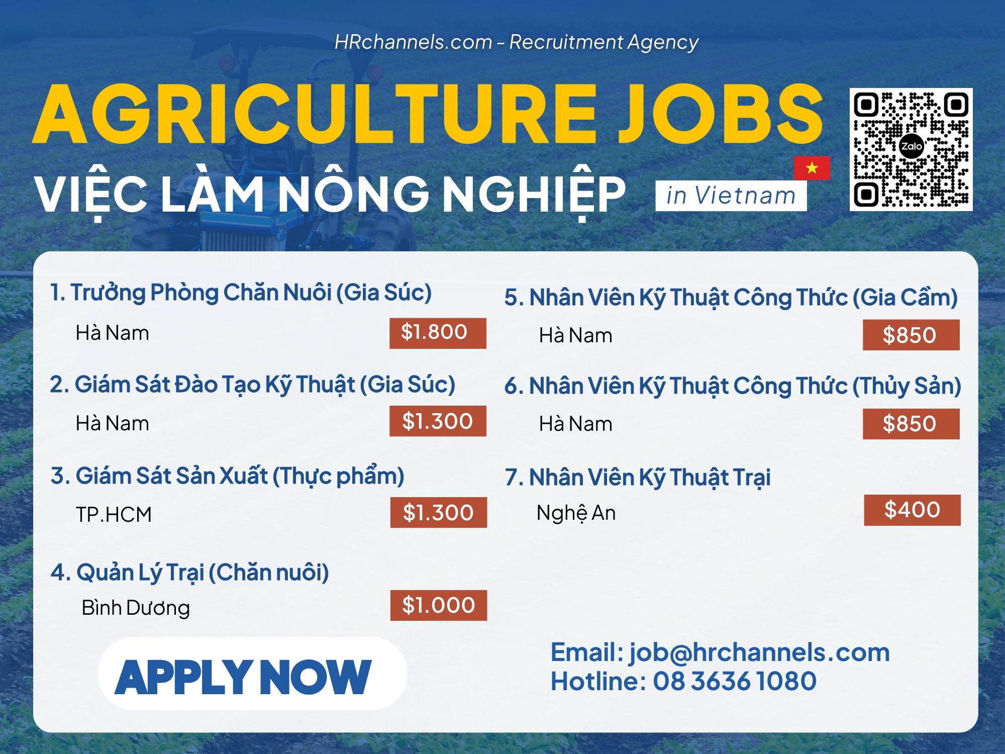 Xéo xắt là gì? Làm gì khi có một đồng nghiệp xéo xắt?