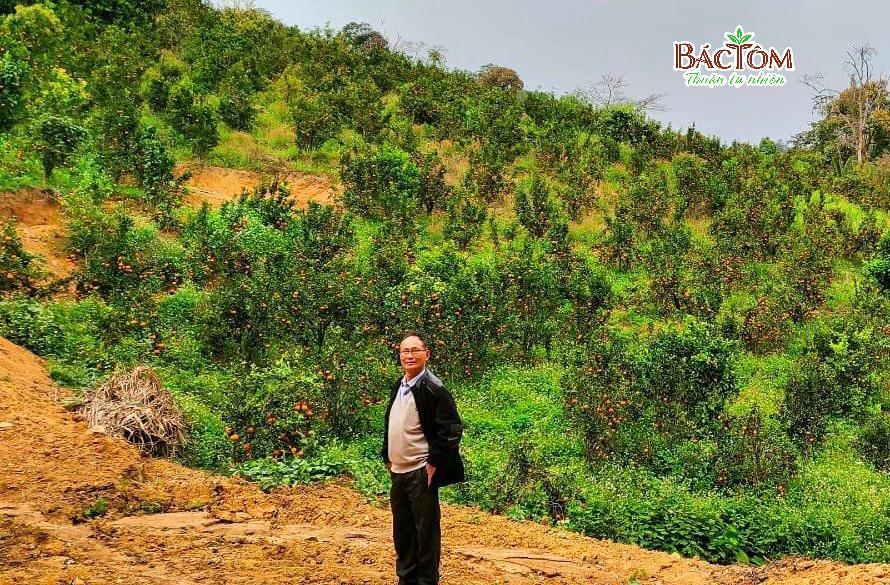 Cam sành hữu cơ Măng Đen Hai Đông