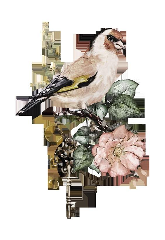 Thành ngữ, tục ngữ