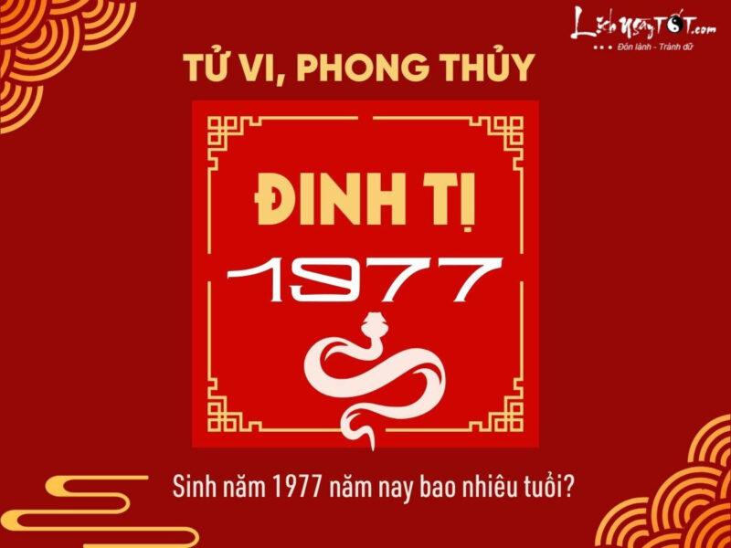 Tuổi Âm Lịch Và Dương Lịch: Tính Toán Tuổi **1977 Là Bao Nhiêu Tuổi**