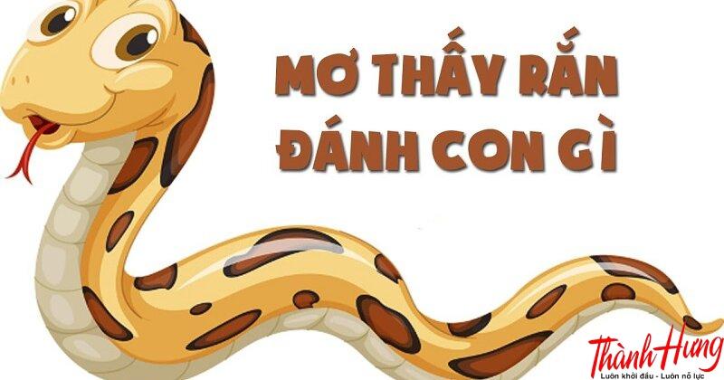 Gặp Rắn Đánh Con Gì? Giải Mã Điềm Báo May Mắn & Cách Đổi Vận