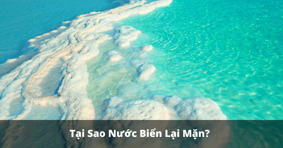 Tại sao nước biển lại mặn? Hàm lượng muối trong các đại dương có giống nhau không?
