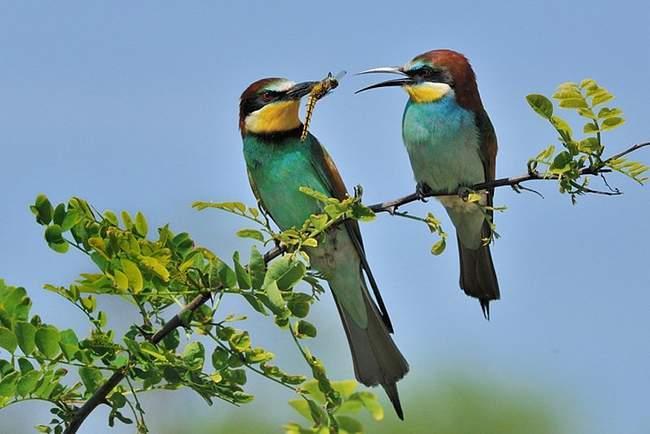 Biểu lộ tấm lòng trìu mến