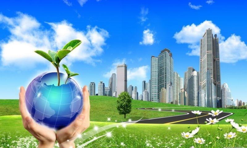 Vai trò của thực vật đối với con người quan trọng thế nào?