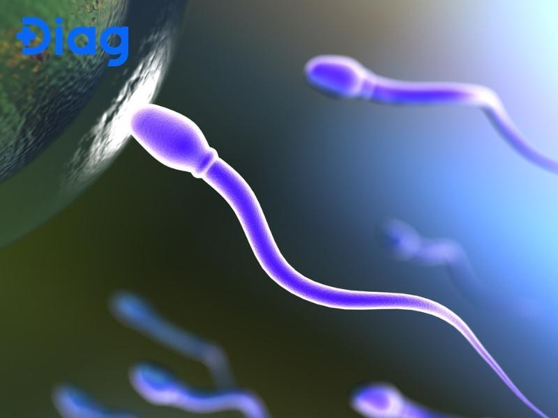 Mấy tuổi mới có tinh trùng? Lớp 7 đã có tinh trùng chưa?