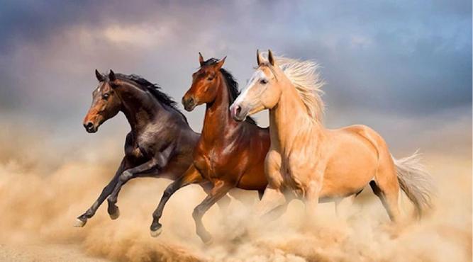 Năm nay 96 tuổi sinh năm bao nhiêu