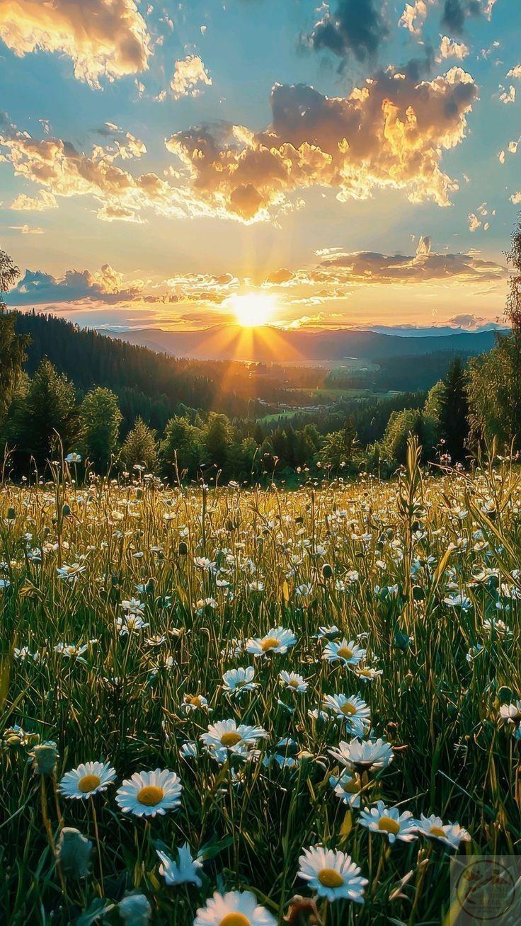 Hình ảnh hoàng hôn đẹp nhất