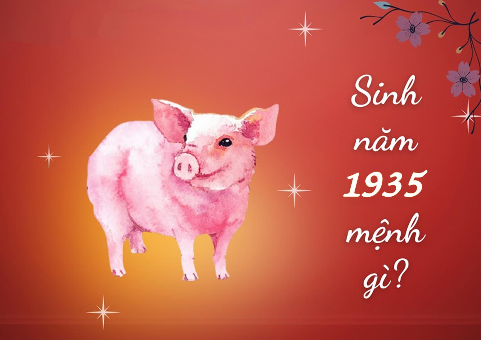 Người sinh năm 1935 tuổi gì? Tử vi trọn đời tuổi Ất Hợi 1935