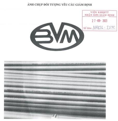 Binh Minh vs Binh Minh Viet: What valuable observations can be made ?