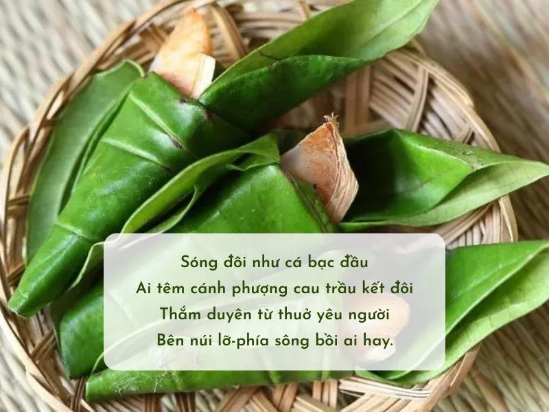 Ca dao, tục ngữ, thơ về trầu cau, cây cau đặc sắc nhất