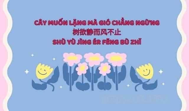 Giải thích ý nghĩa câu nói "Cây muốn lặng mà gió chẳng ngừng"