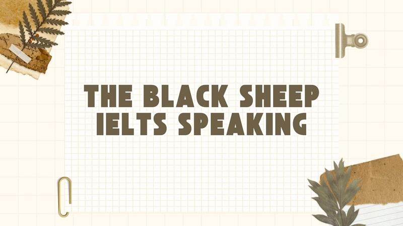 Black sheep là gì? Các idioms và cụm từ đồng nghĩa với The black sheep