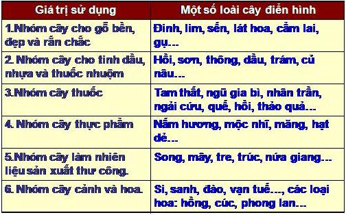 ÔN THI ĐỊA LÝ – GEOGRAPHY (0847.736168)