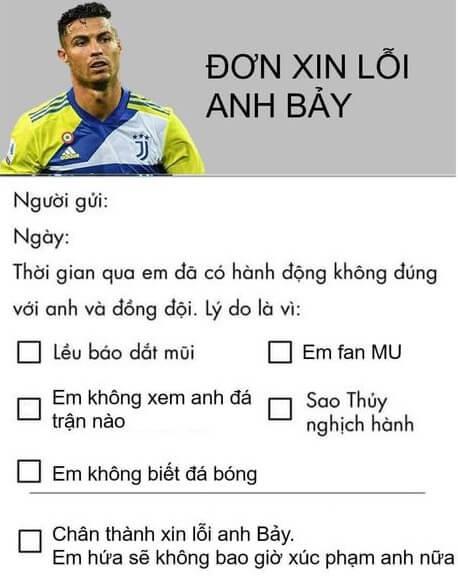 Bộ ảnh Mẫu Đơn Xin Lỗi Meme hài hước giúp kết nối lại tình cảm cho ai hay lỡ lời