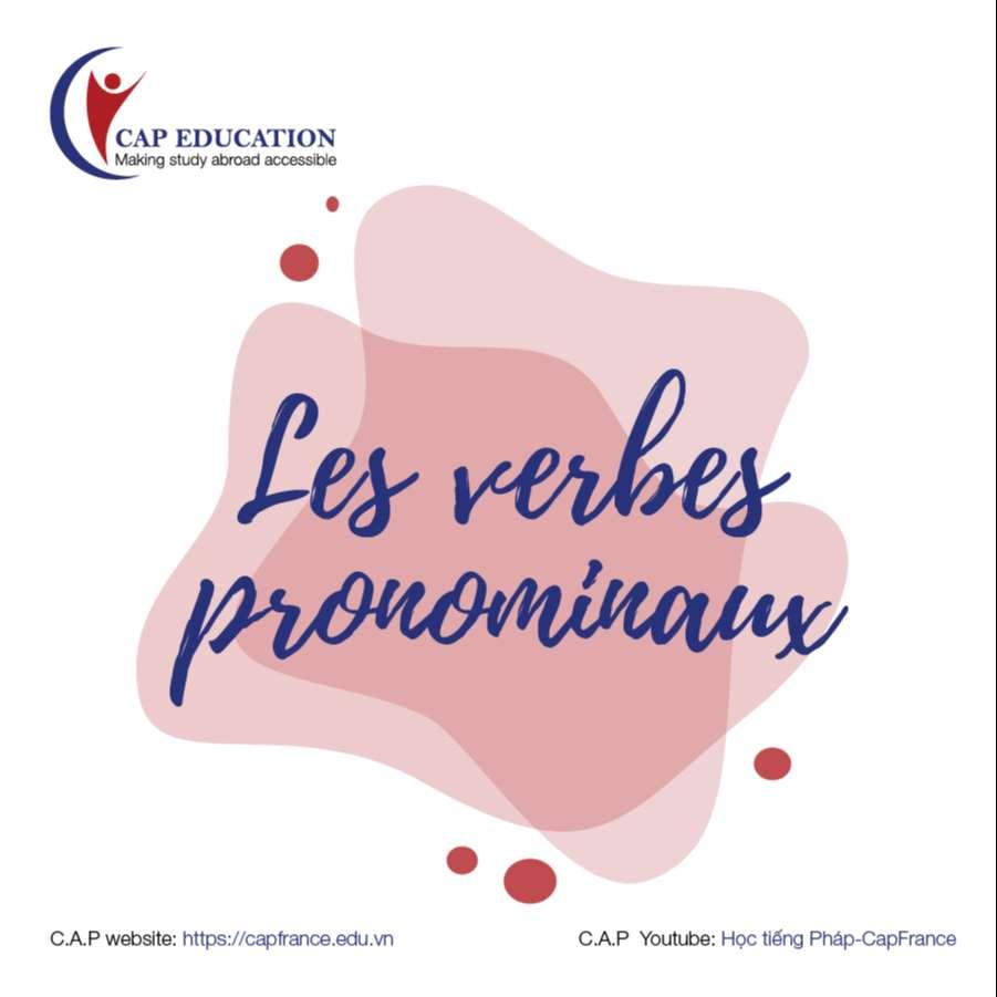 Động Từ Phản Thân Trong Tiếng Pháp