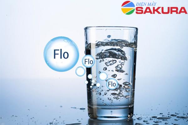 Tìm hiểu Flo là gì?