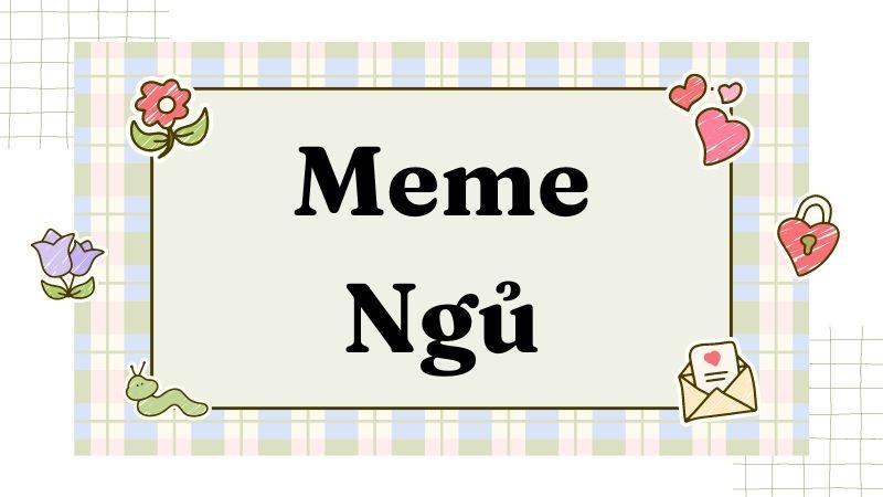 Tổng hợp bộ ảnh meme ngủ hài hước, vui nhộn nhất