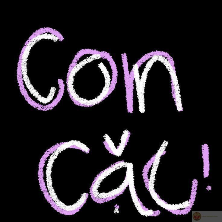 Ảnh chế hài hước nhờ có cái l kết hợp cùng con c vui tính