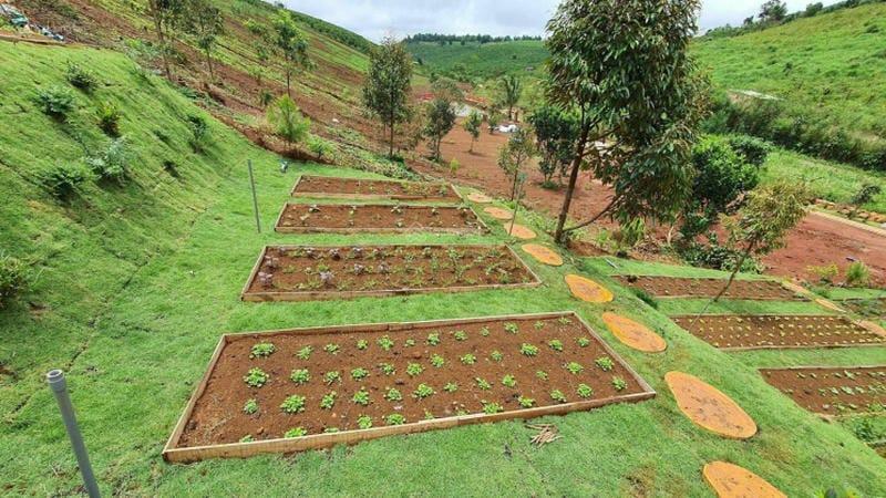 Bán Đất Theo Mét Ngang: Cách Tính Chuẩn Xác Để Đạt Lợi Cao